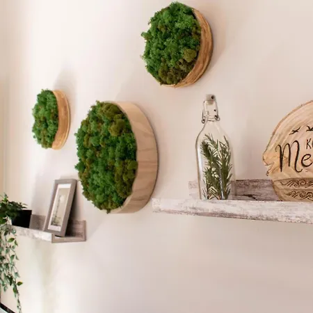 Apartment Nordic Nature Loft In Travemuende Direkt In Der Vorderreihe Inkl Privatsauna *